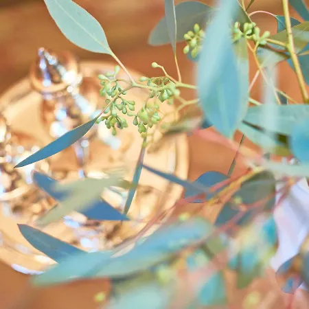 Haus Gode Tied - Apt. 02 Lejlighed Sellin (Rugen)